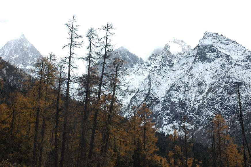 秋雪 摄影 色谷饥仙