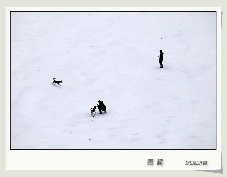 雪趣 摄影 -深山红叶-