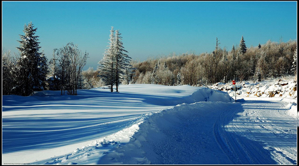 雪景 摄影 Roger66