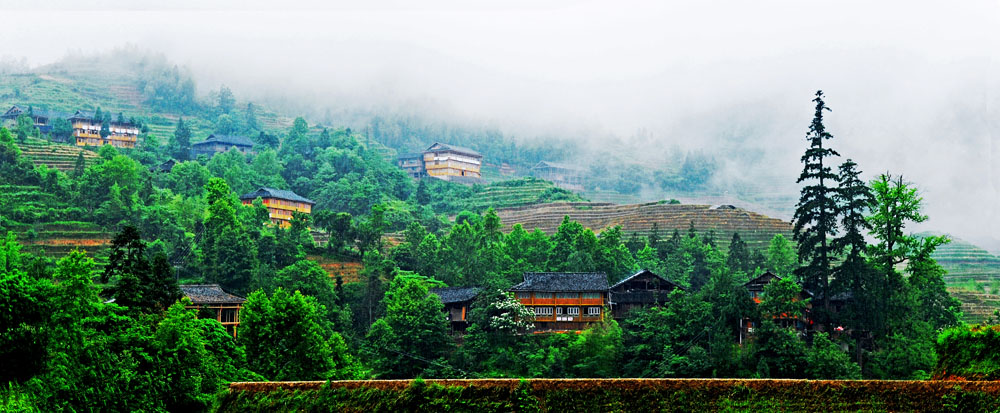 雨中的龙胜 摄影 yanzhang