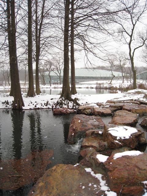 南京雪景 摄影 KOALA考拉