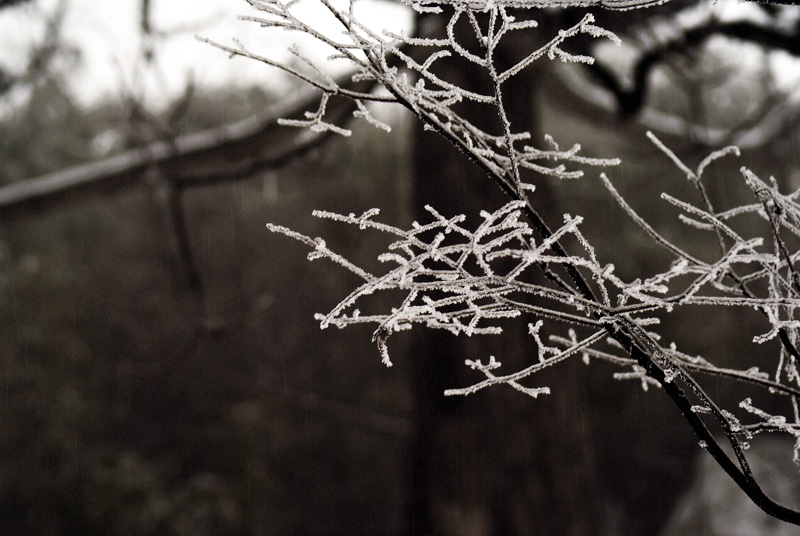 雪景 摄影 了扎咧