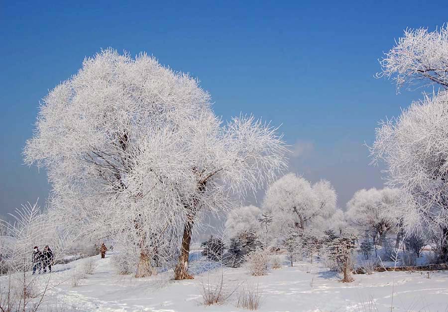 踏雪寻淞 摄影 巴虎邨人