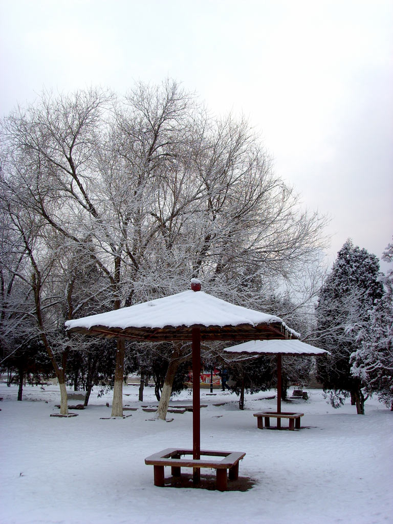 雪晨 摄影 思灵山人