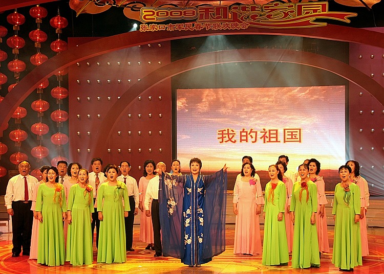 2008新春联欢会 摄影 平方