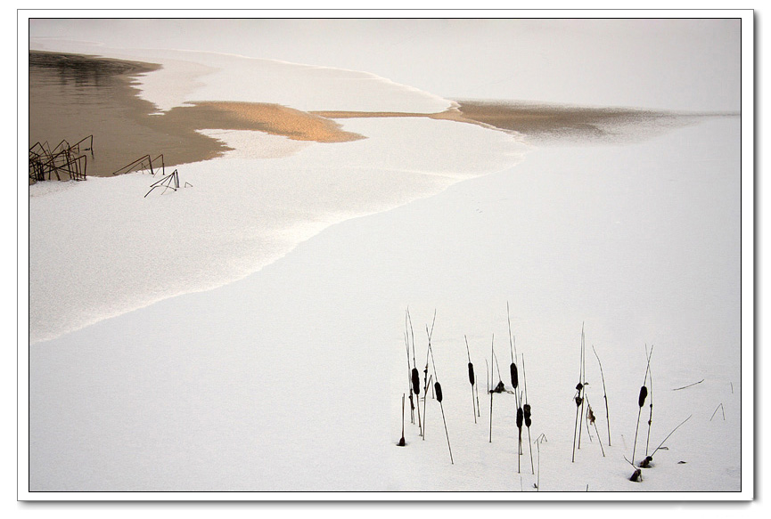 2008第一场雪 摄影 了了