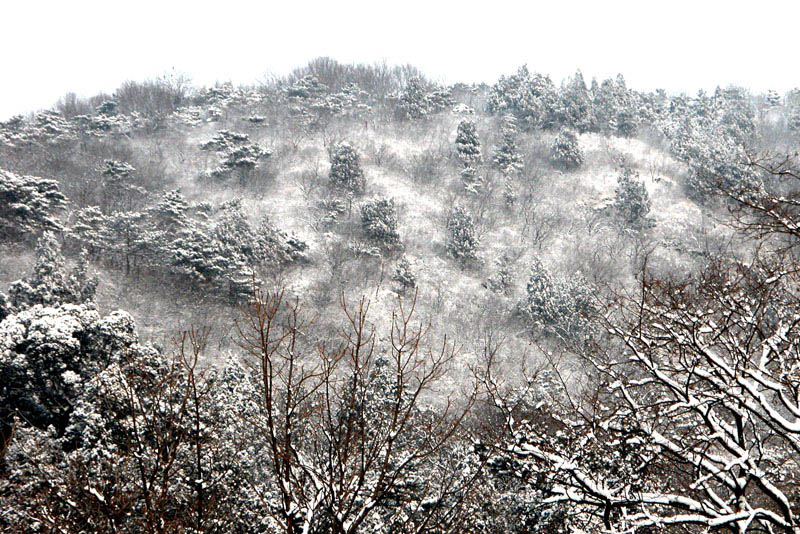 冬日香山 摄影 3A哥