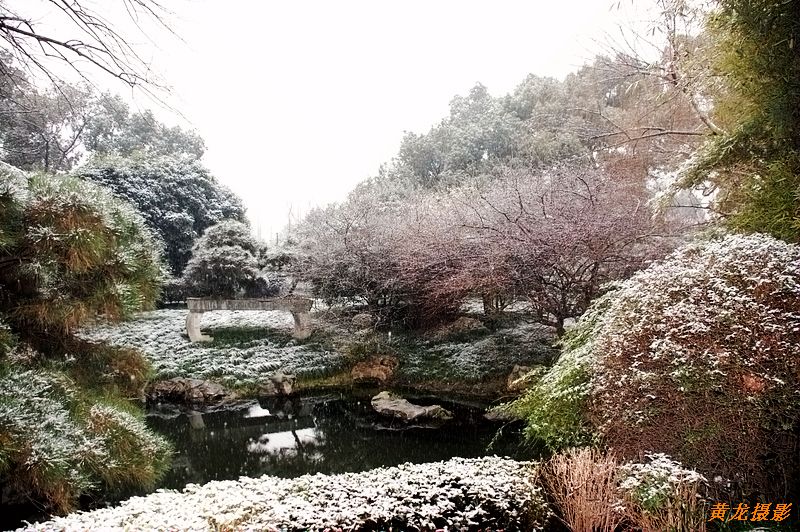 雪 摄影 黄龙