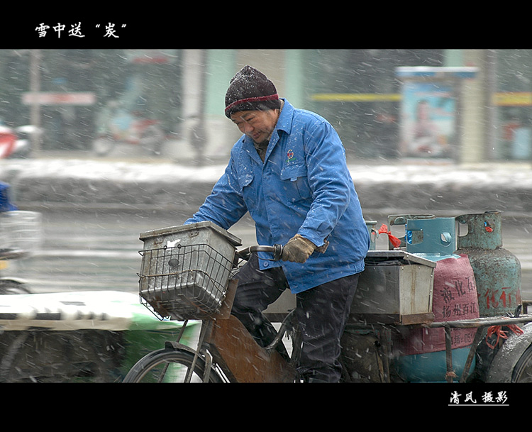 雪中送“炭” 摄影 清风拂柳