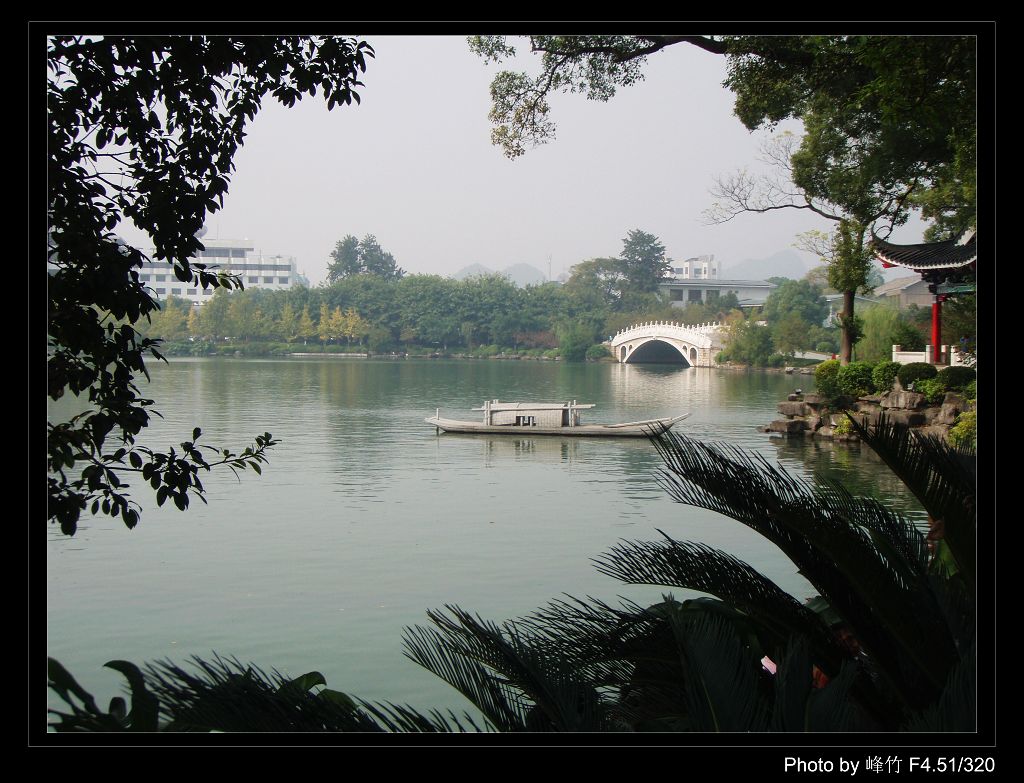 榕湖 摄影 峰竹