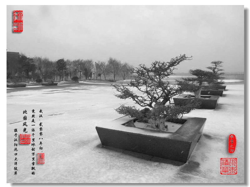 2008-武汉大雪-1 摄影 geyin