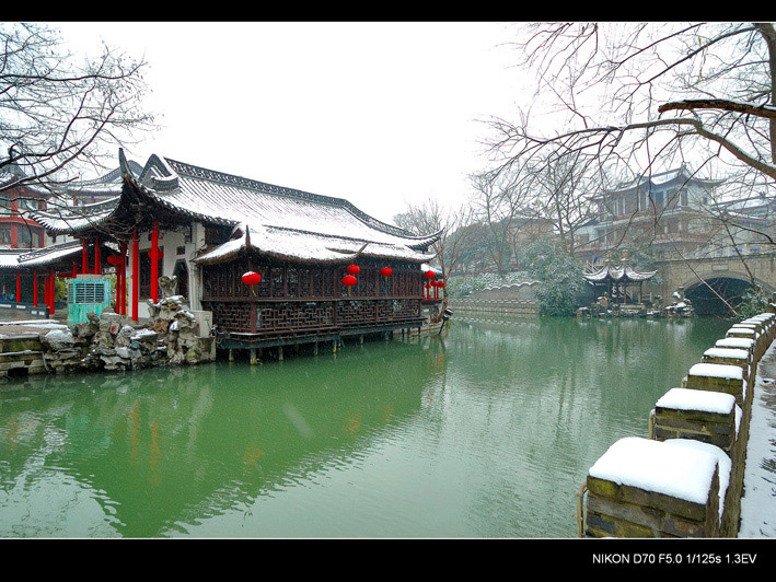 雪后 摄影 飘扬