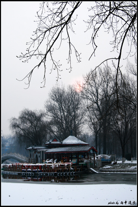 雪中漫步达活泉 摄影 拍山摄氺