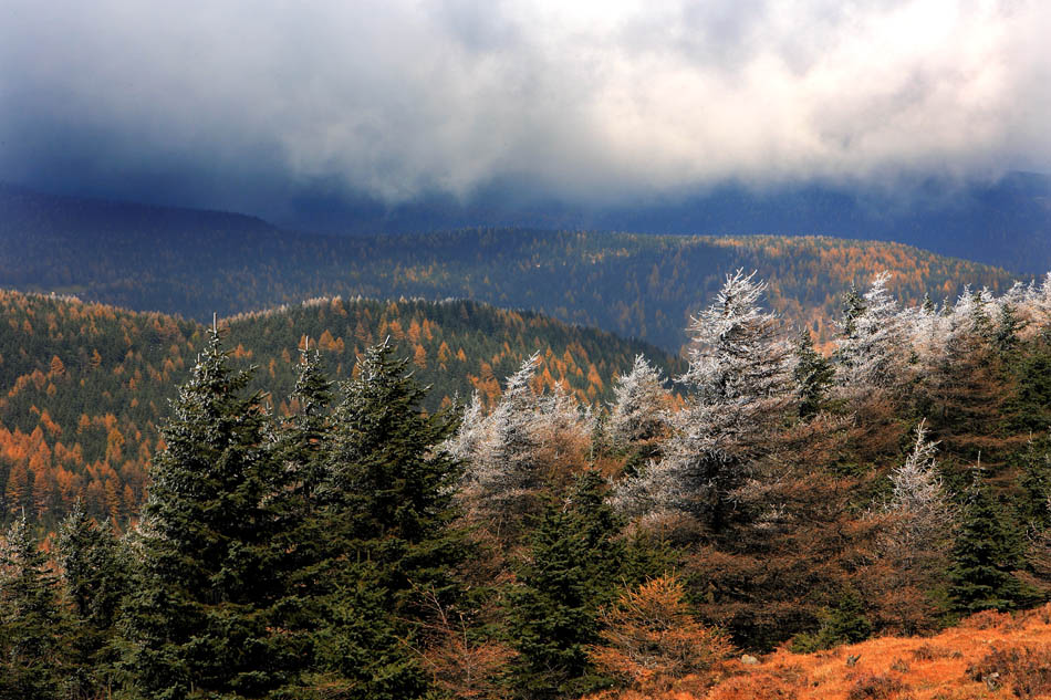 芦芽山风光 摄影 forestphoto