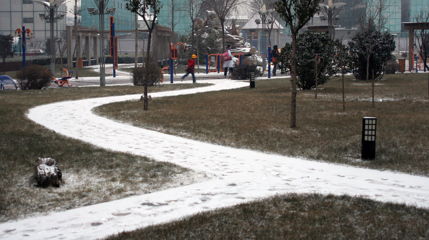 小区雪景 摄影 寒梅傲雪