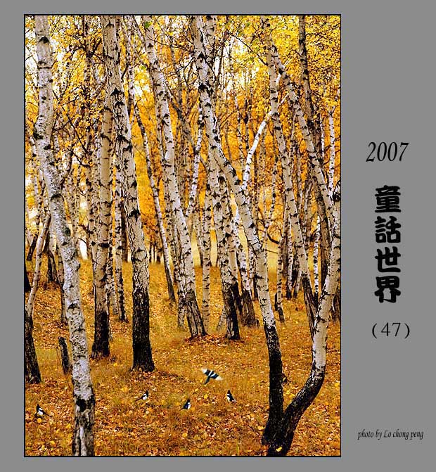 2007童话世界(47) 摄影 M小丙