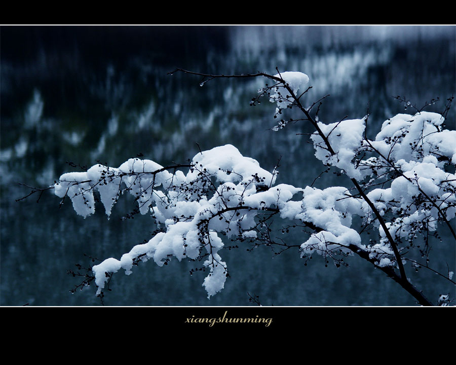 春雪-1 摄影 山沐