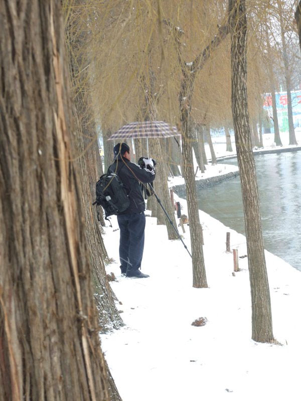 雪中摄者 摄影 神手快盗