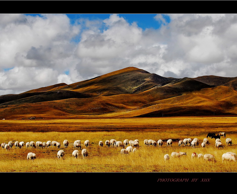 阿坝之旅~ 路边的风景 摄影 XIHUANXUE