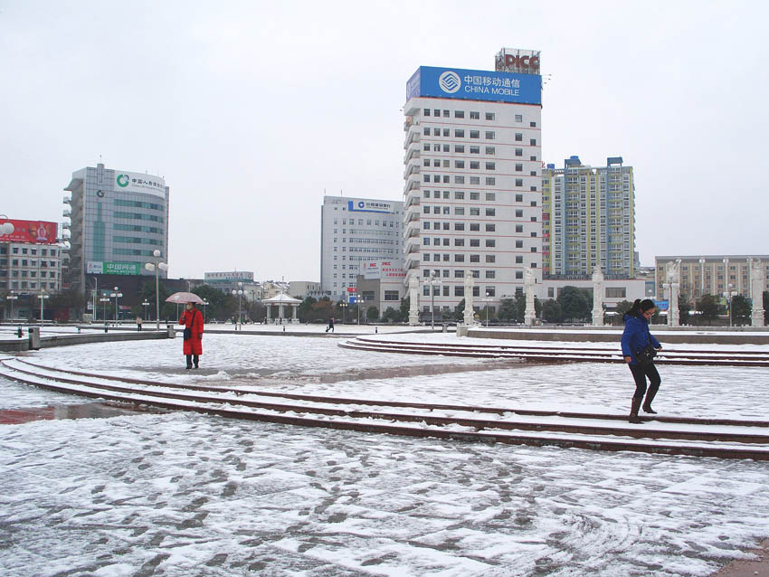 瑞雪 摄影 若木