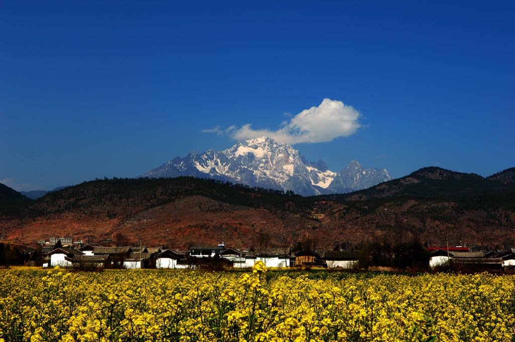 春天的玉龙雪山 摄影 harmony