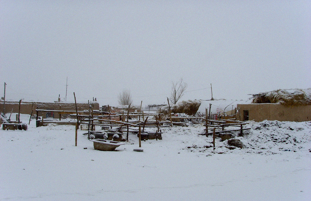 雪晨 摄影 思灵山人