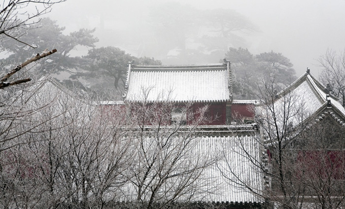 小雪后的金顶妙峰山 摄影 毒蚂蚁