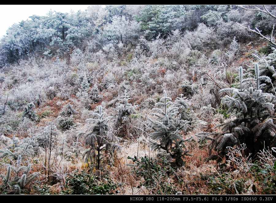 北山雾凇 摄影 温馨