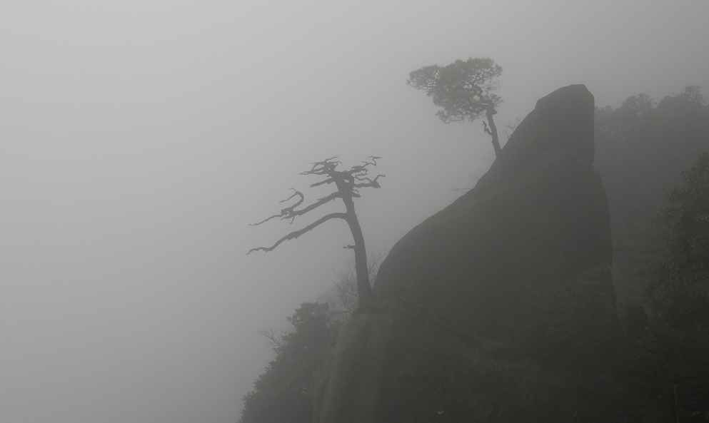 晨雾 摄影 业余初段