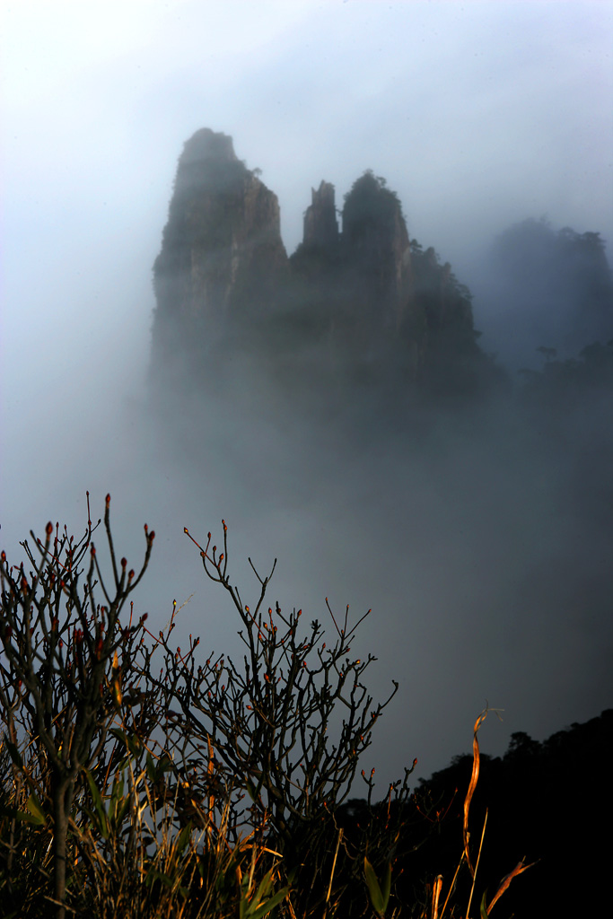 雾锁仙山 摄影 曹黎明