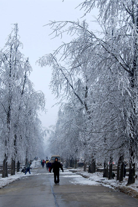 冰天雪地 摄影 老百姓