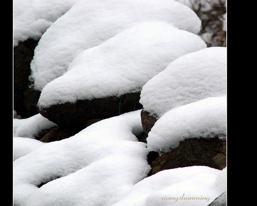 春雪-2 摄影 山沐