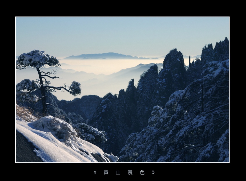 黄山小景 摄影 武文ABC