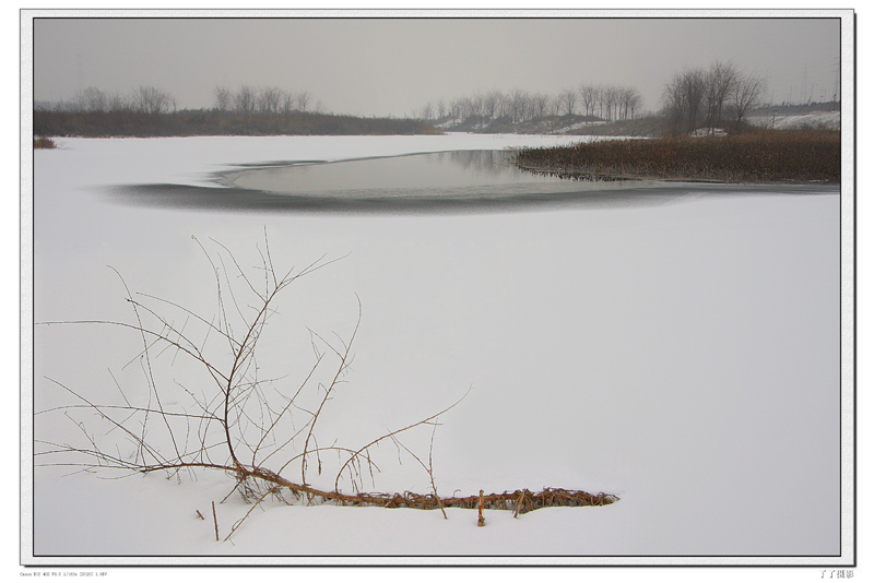 2008第一场雪-静静的等侯 摄影 了了