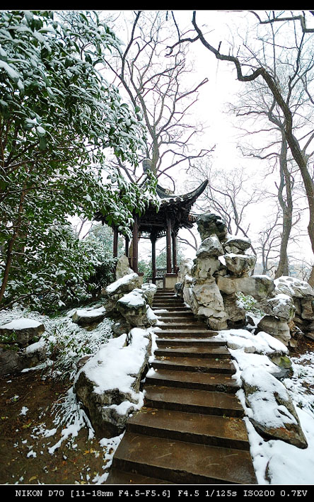 雪景 摄影 飘扬