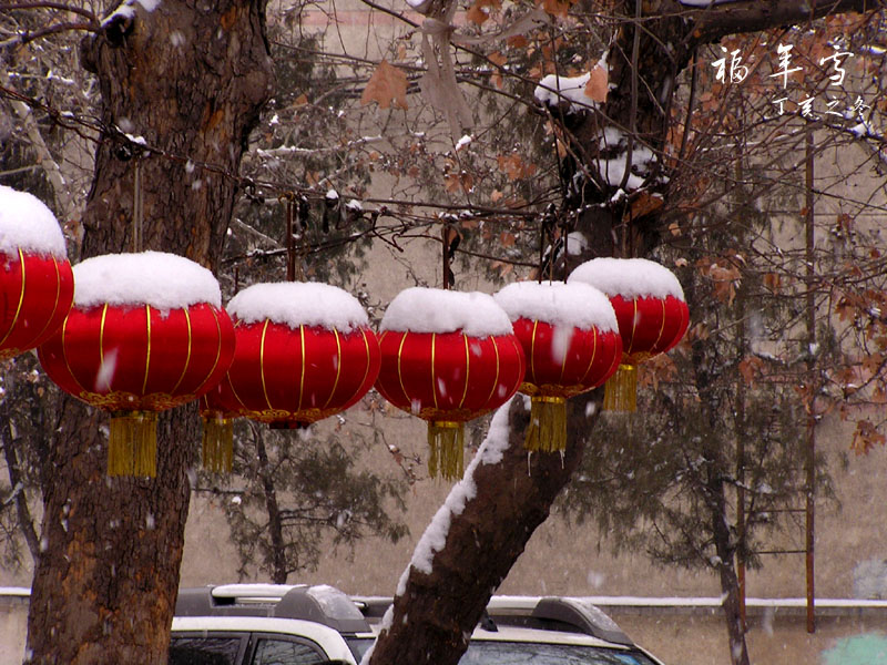 福年雪4 摄影 晋风