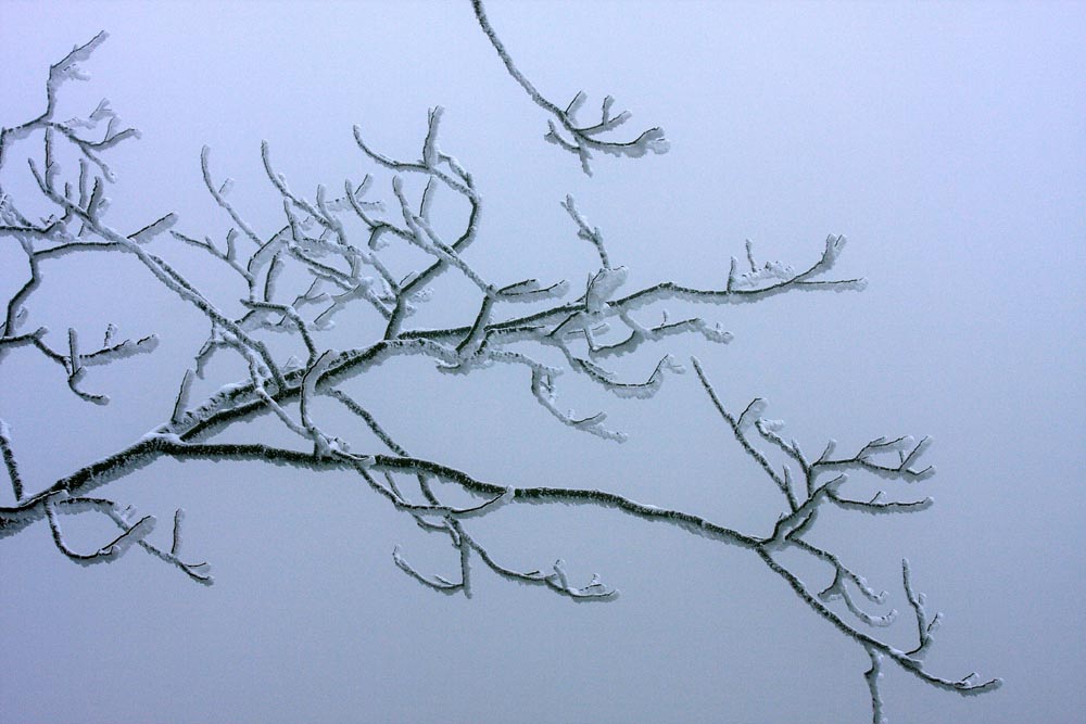 神雾山雪景系列--空中芭蕾 摄影 古峰