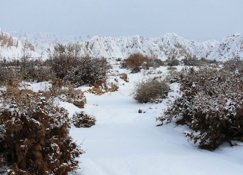 天山的雪 摄影 摄像头