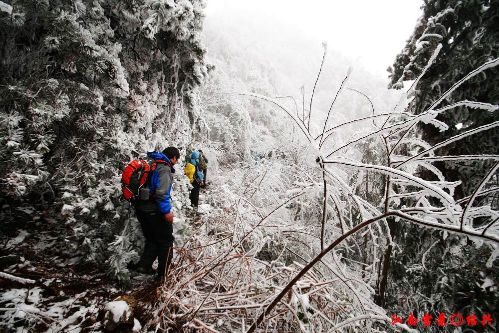 江南雪景◎绍兴 摄影 喀嚓一声