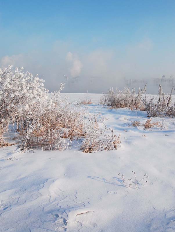 踏雪寻淞 摄影 巴虎邨人