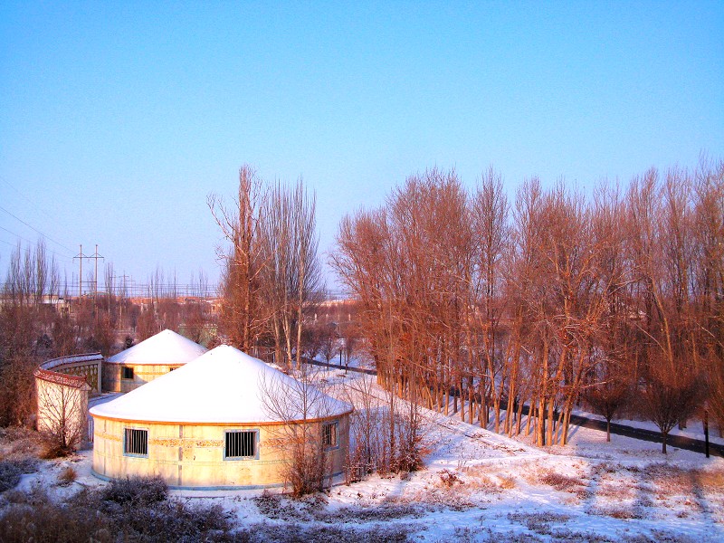 冬韵 摄影 shanfenghao