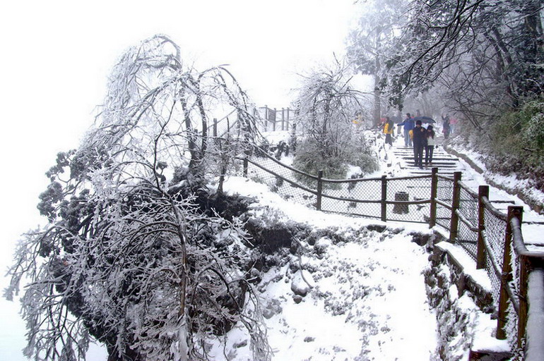 雪韵 摄影 清风抚慰