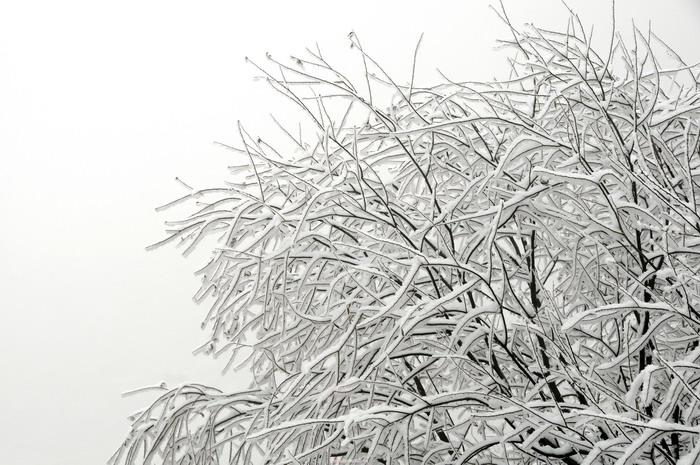 今年西安雪真美 摄影 激情人生