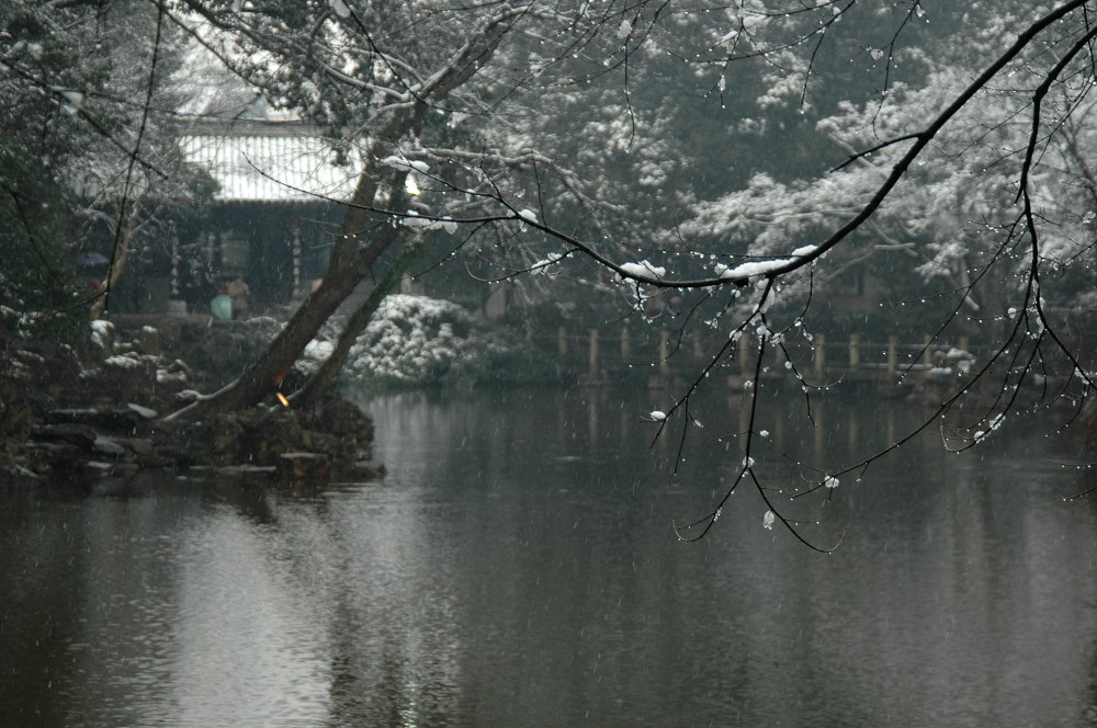 寄畅园雪景 < 2 > 摄影 二泉印月