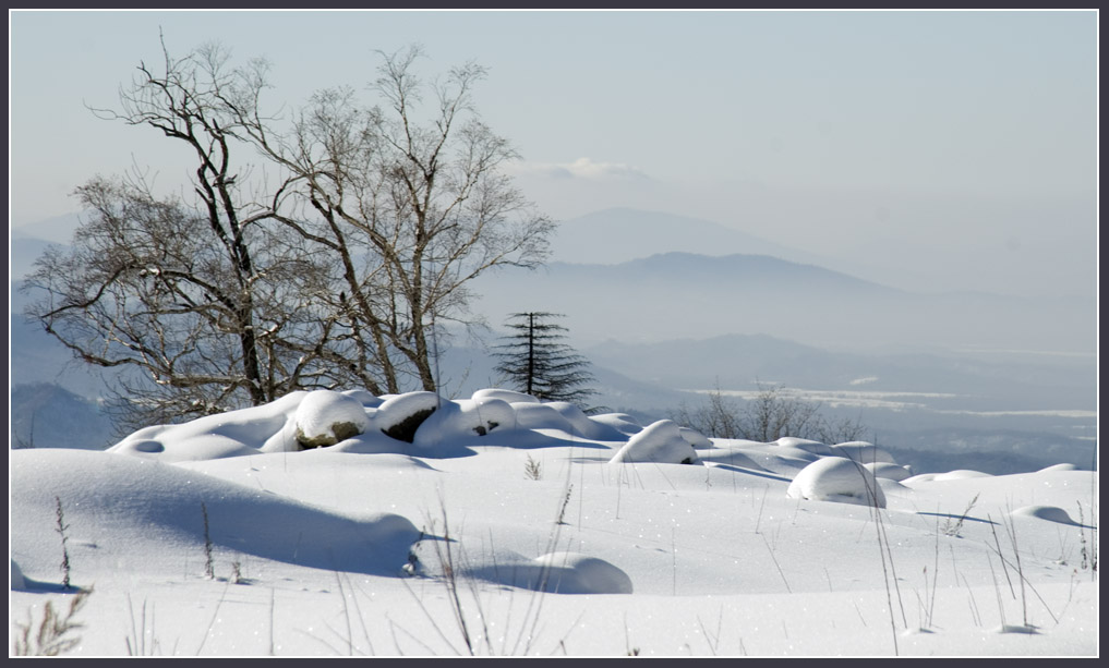 雪乡小景-6 摄影 零眼