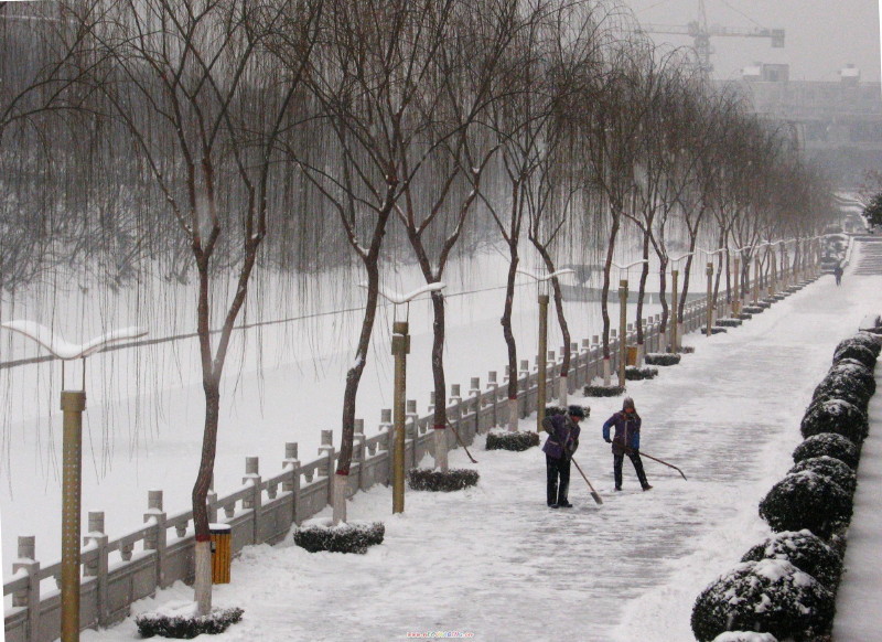 雪后 摄影 小大人