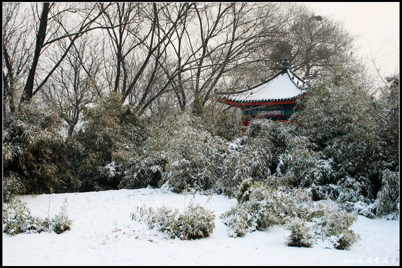 小雪初歇 摄影 拍山摄氺