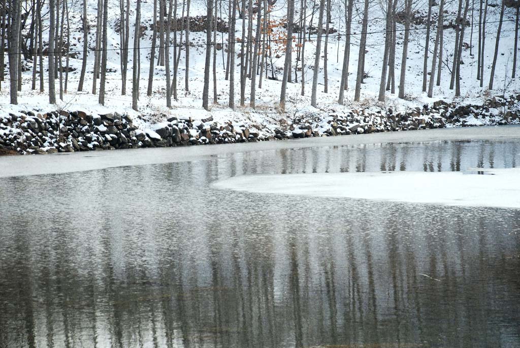 雪的水边 摄影 朱浩菡