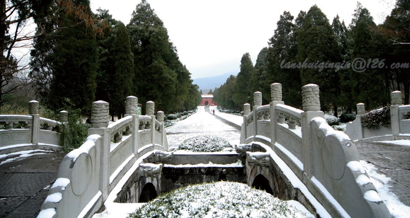 明孝陵初雪 摄影 岚水清清