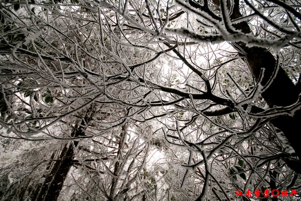 江南雪景◎绍兴2 摄影 喀嚓一声